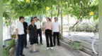 荣昌区委书记万容：以实干实效加快建设宜居宜业和美乡村
