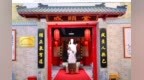 聊城深耕成无己文化 传承伤寒学派中医药文脉