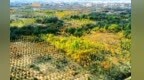 甘肃临泽“四驾马车”齐头并进　赋能“一屏三地”建设