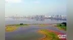 九江全市首发！“开办超市一件事”改革落地八里湖新区