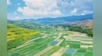 甘肃榆中扛起“北菜南运”重任　高原夏菜逆袭振兴