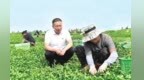 “领头雁”疏堵解难　兰州新区这个镇走乡村振兴富路