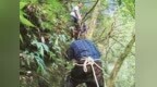 钓鱼佬进山两日未归 村民报警救回一条命