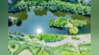 周市，“前额叶友好”的地方！
