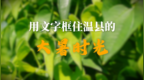用文字打开温县的大暑时光，有点不一样