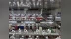深耕沂蒙 与企共赢 | 临商银行沂南支行：以金融活水浇灌富民产业链