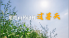 道地山药，这样过暑天