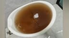 于都县琴湖小区自来水偏黄？水务公司回应：老旧小区改造致短暂黄水，水质检测达标