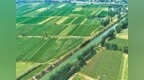 南阳市宛城区夏日田园画卷