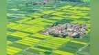 雨润山野　遇见甘肃民乐夏日治愈风光