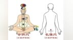 你的屁股正在“闷”出一身病！一个动作，让身体活络起来