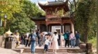黄山一知名景区福利发布！沪苏浙皖居民专享，免票一个月