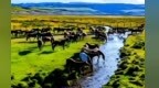 古代也有“央企”？揭秘世界第一大马场“编制”变迁