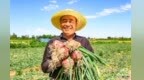 甘肃嘉峪关特色产业助农增收