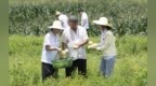 新余学院暑期实践团走进红山村，青春力量助力乡村振兴