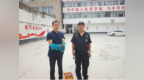 河南淮滨：齐心协力救助国家二级保护动物斑头鸺鹠