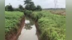 宜春高安市新街镇灌溉水体浑浊发臭 村民担心收成受影响