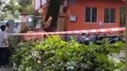 广西一公园大树倒伏，致3死4伤