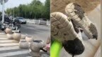 海水浴场门口隔离石墩被涂抹沥青，游客带娃经过鞋和身上都粘上
