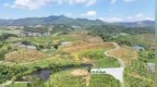 修复2600亩矿山、减排20万吨碳、空气优良率96%，芦溪的“绿色答卷”