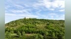 十年植绿治荒坡　金昌矿山旧址变身城市后花园