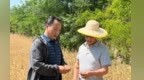 甘肃灵台麦田里寻梦人扎根荒山梯田　“创”出群众致富桥