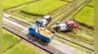 会昌县：农机作业忙“双抢”（图）