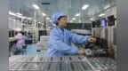 从裁缝车间到数智工厂，乐安三连制衣厂的“智”变与“致”富