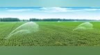 周口黄泛区农场四分场：精准灌溉润千亩良田