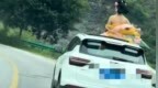 女子乘车探出天窗拍古风视频，还配文“是妲己啊”，交警回应