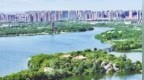 南昌：湿地公园 夏日盛景（图）