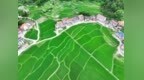 盛夏“灭火”三步走 收好食疗养生方