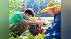4公里引水翻山！在上栗，他们让撂荒地“活”过来