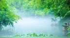 一场急雨过后 趵突泉公园泉池现“云雾润蒸”奇观