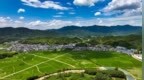 江西德兴：稻田青绿山水如画（图）