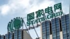 国家电网：坚决拥护党中央决定