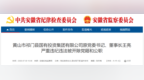 参与赌博活动等，安徽一国企原董事长被“双开”！
