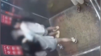 男孩挡电梯被女孩催，妈妈动手打人，双方已和解