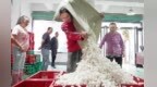 暖“心”闻：老桑新丝织就山乡富 小茧托起好日子