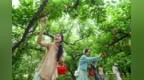 樟树：芙蓉李丰收引客来 串起增收致富路（图）