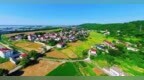 九江濂溪区：千亩秧田铺翠色 江矶山水焕新颜（图）