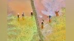泰和县：田间抛秧忙（图）