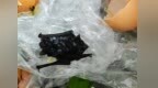餐饮店肉片里吃出蝙蝠？当事人称儿子“哇哇吐”已就医