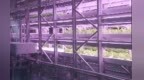 沙漠上的植物工厂 为陕北大地增添“科技绿意”