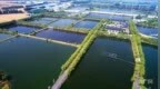 一粒珍珠激活塌陷地“转型密码”
