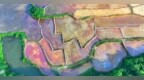 泰和县：多彩田园 景美如画（图）
