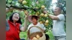 数据亮眼！空气优良率98%、水质100%达标，广丰生态富民双向出彩