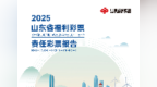 山东福彩发布《山东省福利彩票责任彩票报告（2025年）》