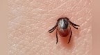 比蚊子毒10倍！这颗芝麻大的黑点，每年放倒6万人