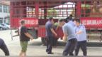 固始县：爱心企业助农送清凉 两万斤西瓜致敬户外劳动者